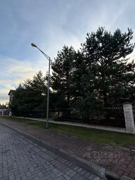Участок в Московская область, Истра муниципальный округ, д. Аносино, ... - Фото 2