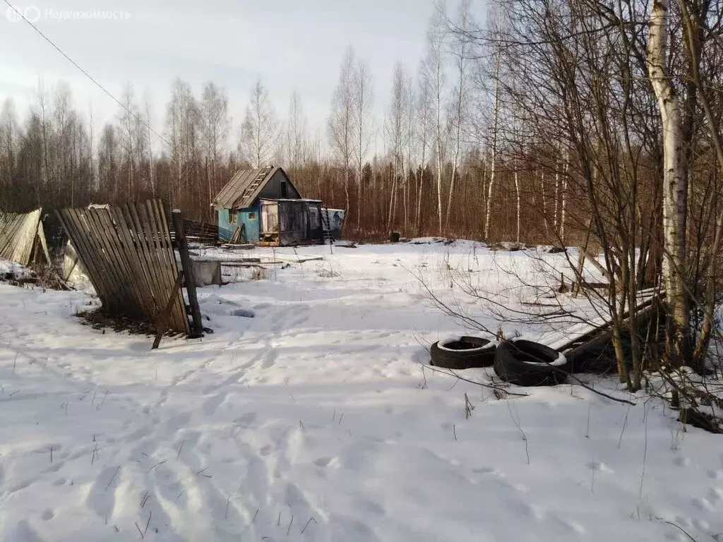 Дом в Вологда, садоводческое товарищество Меркурий (15 м) - Фото 1