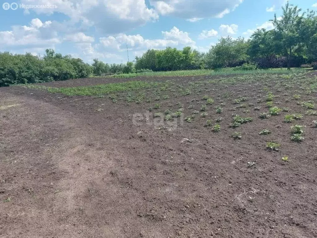 Участок в Белгородская область, Короча (10 м) - Фото 0