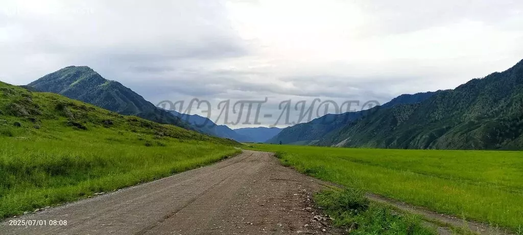 Участок в Чемальский район, Куюсское сельское поселение (2 м) - Фото 2
