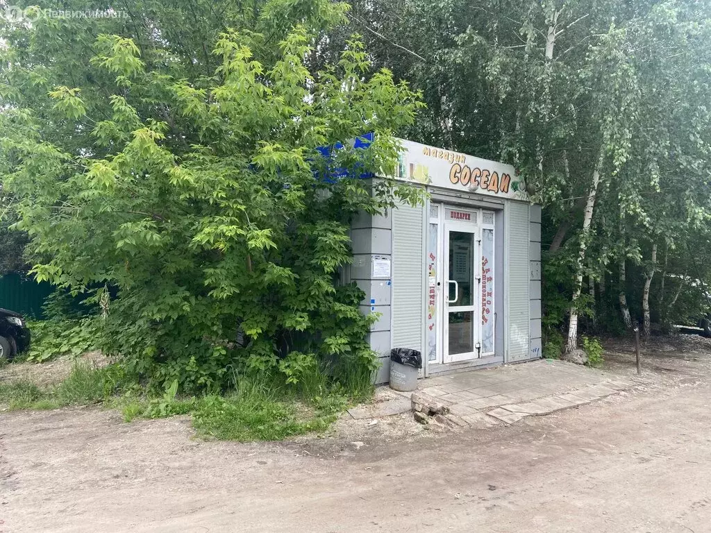Дом в Омск, садоводческое некоммерческое товарищество Нефтяник (15 м) - Фото 0