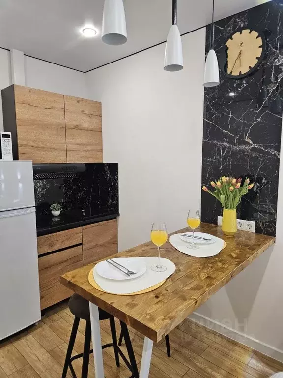 Студия Москва ул. Корнейчука, 27 (20.0 м) - Фото 1