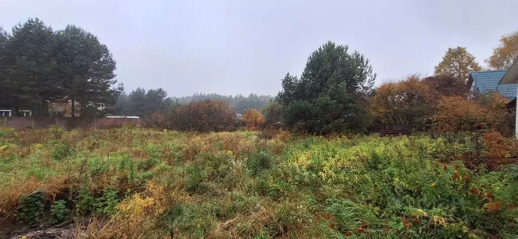 Участок в Калужская область, Бабынинский муниципальный округ, ... - Фото 2