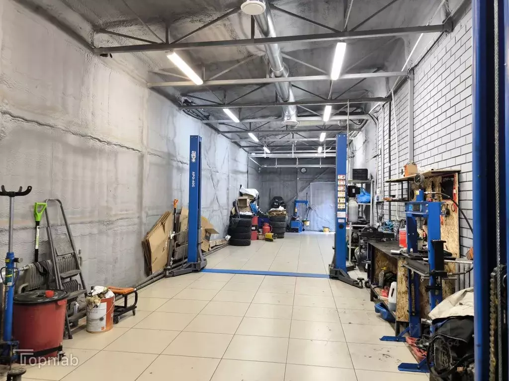 Помещение свободного назначения в Алтайский край, Барнаул ул. Эмилии ... - Фото 2