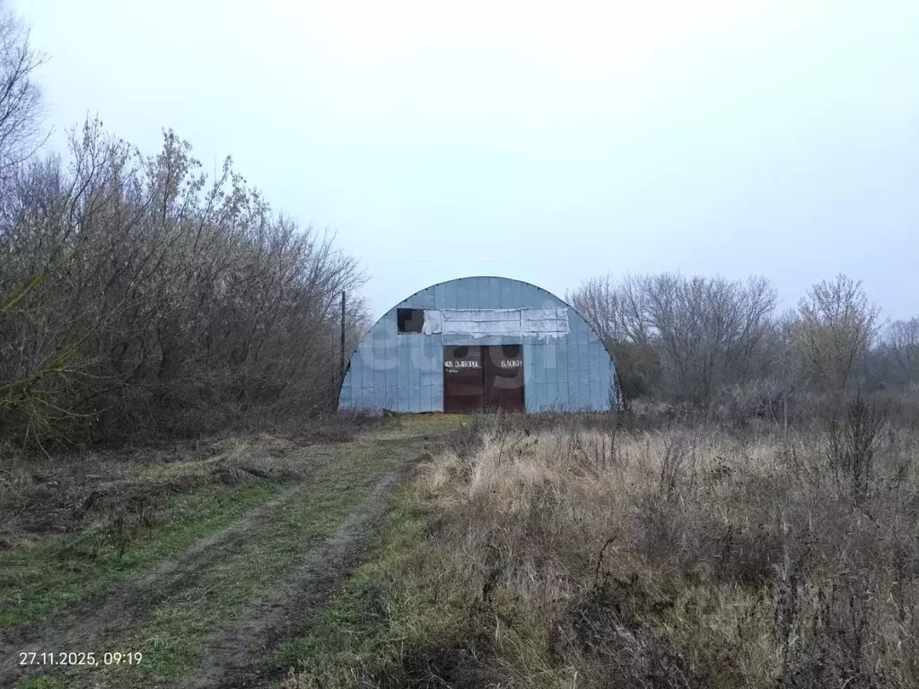 Склад в Воронежская область, Грибановский район, с. Верхний Карачан ... - Фото 1
