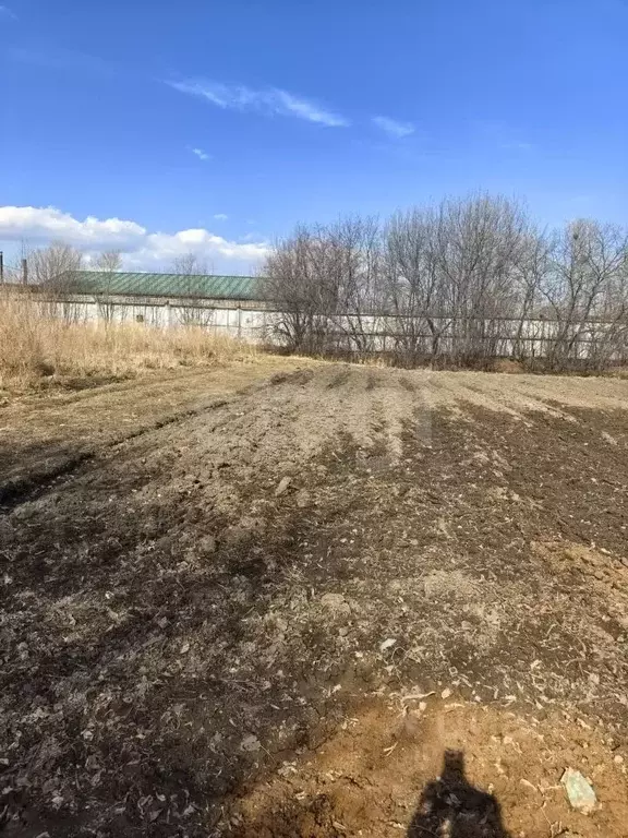 Дом в Амурская область, с. Тамбовка ул. Тамбовская, 125А (28 м) - Фото 2