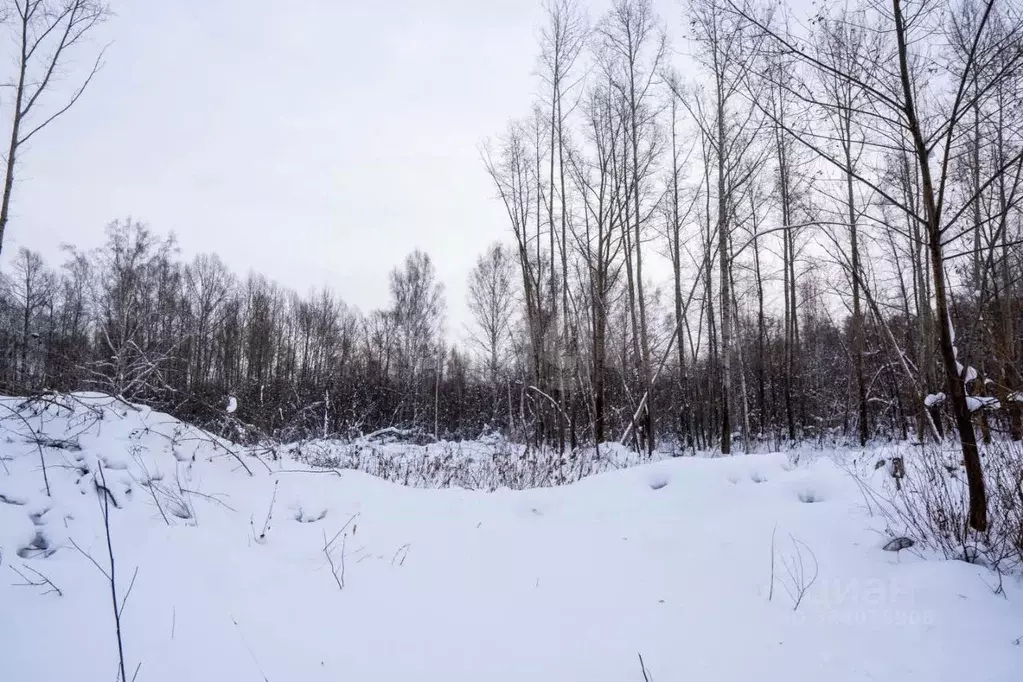 Участок в Новосибирская область, Новосибирск  (7.19 сот.) - Фото 1