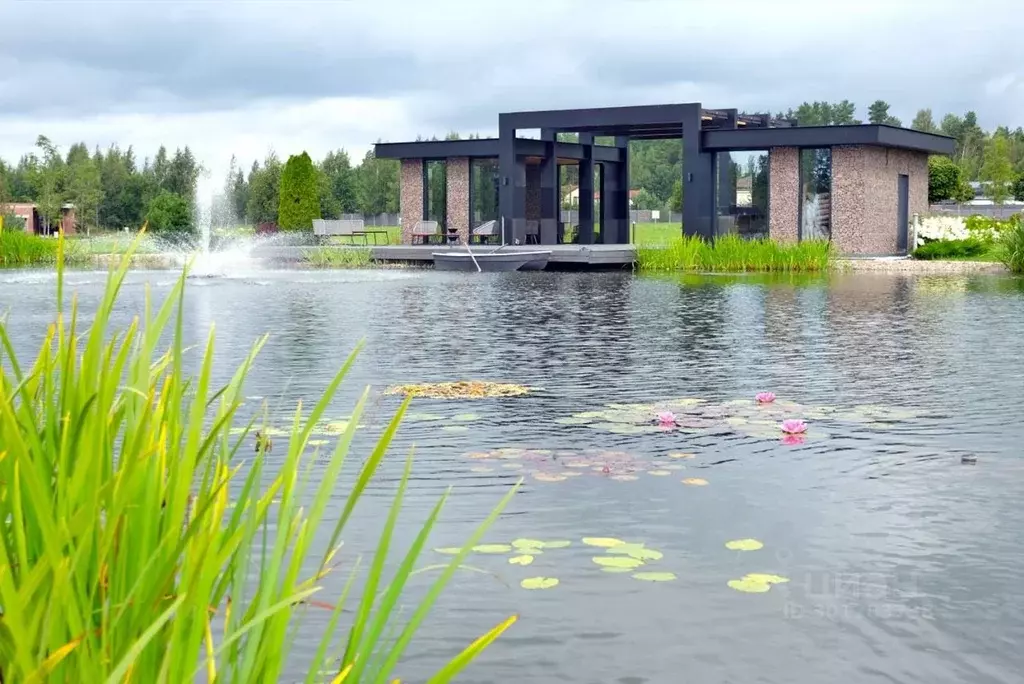 Участок в Ленинградская область, Выборгский район, Первомайское с/пос, ... - Фото 2
