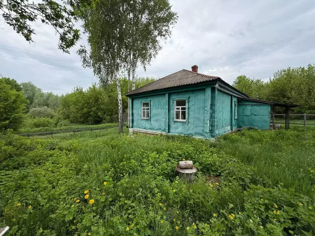 Дом в село Вязноватовка, Октябрьская улица (41.1 м) - Фото 2