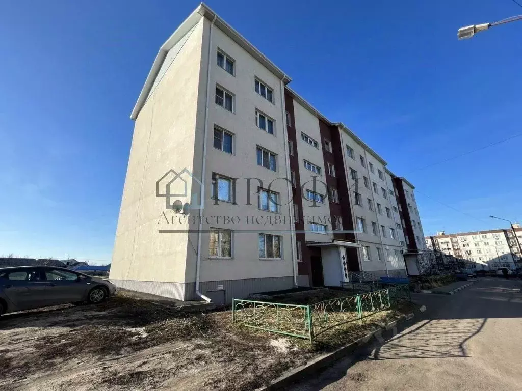 1-к кв. Белгородская область, Поселок Чернянка городское поселение, ... - Фото 1