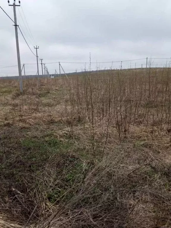 Участок в Нижегородская область, Богородский муниципальный округ, д. ... - Фото 1