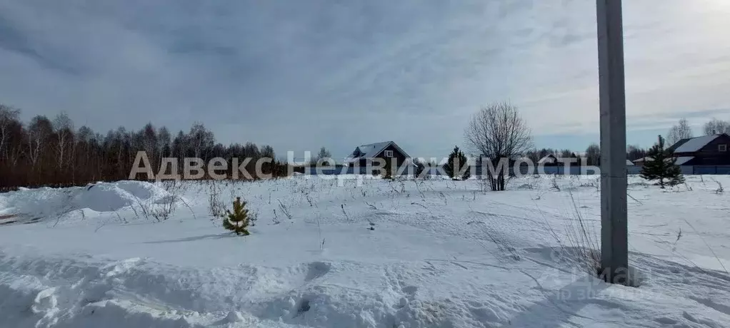 Участок в Тюменская область, Нижнетавдинский район, с. Иска ул. ... - Фото 0