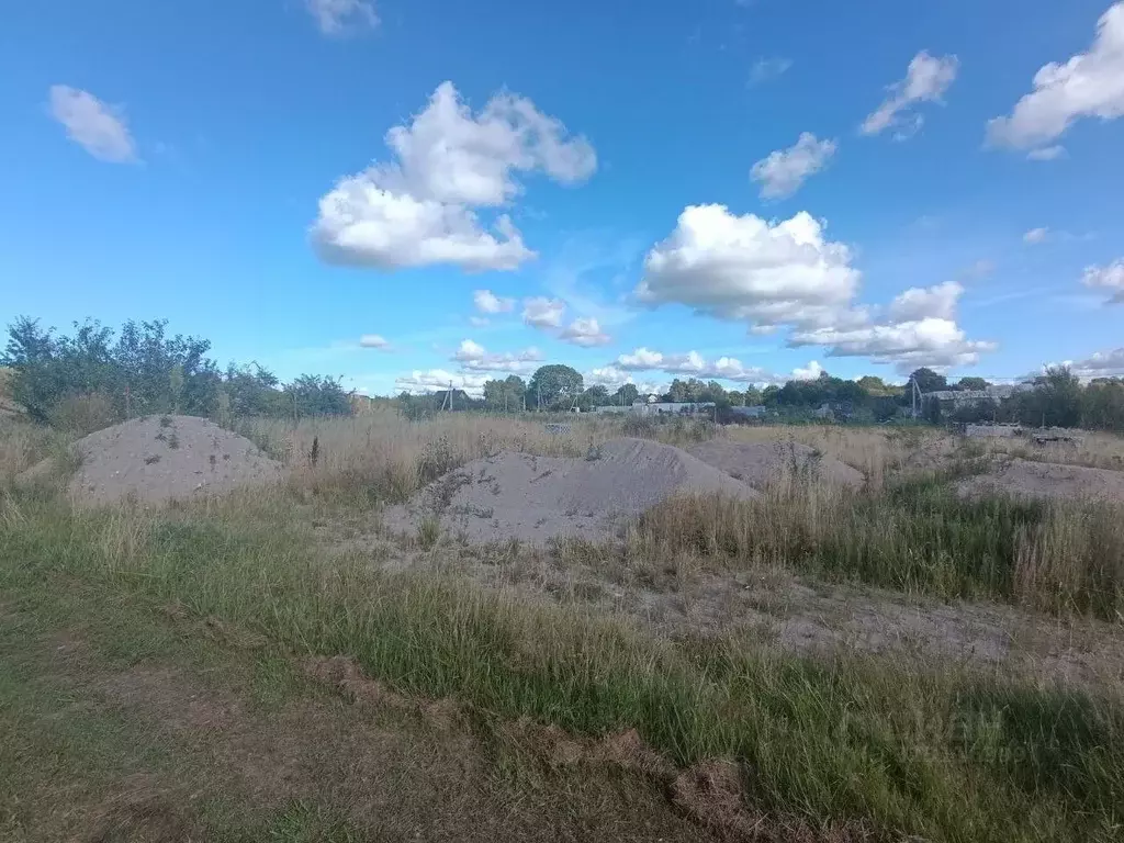 Участок в Калининградская область, Зеленоградский муниципальный округ, ... - Фото 2