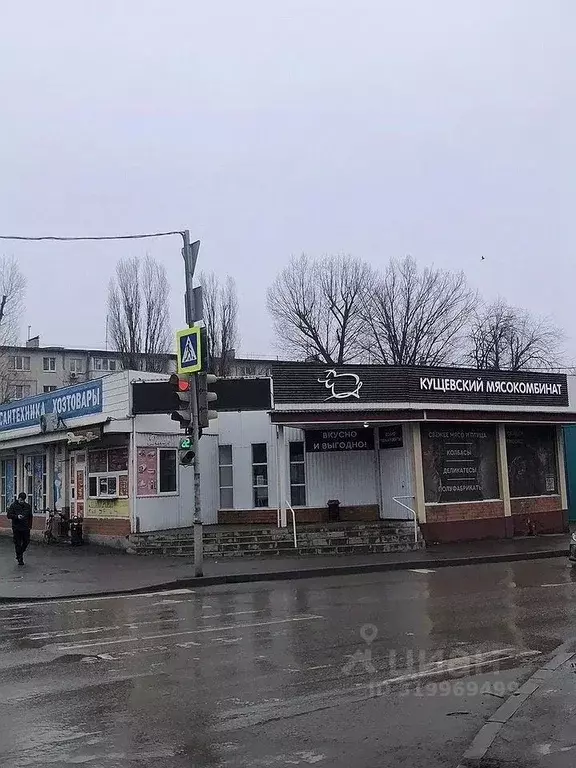 Торговая площадь в Ростовская область, Ростов-на-Дону ул. Тружеников, ... - Фото 1