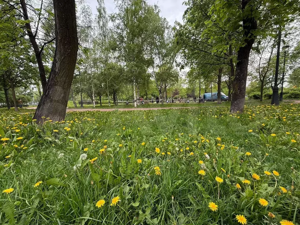 Комната 18,4 м в 3-к., 5/8 эт. - Фото 0