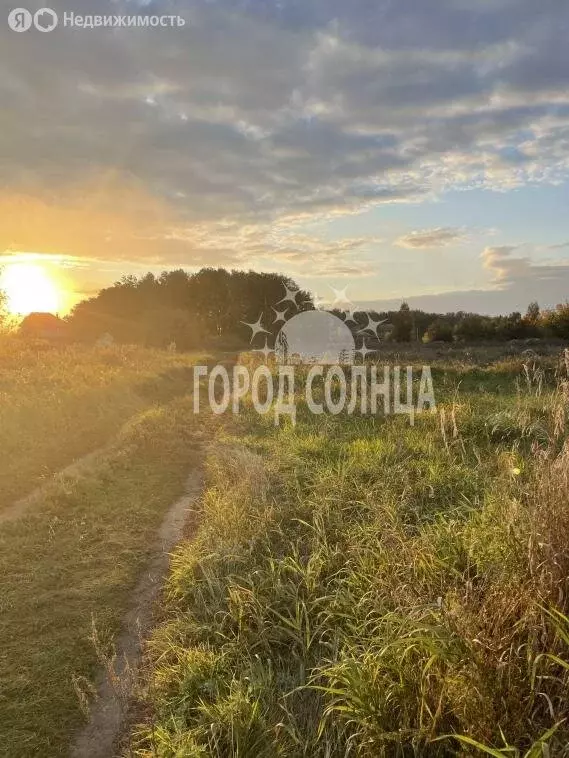 Участок в Омский район, Ачаирское сельское поселение, посёлок ... - Фото 2
