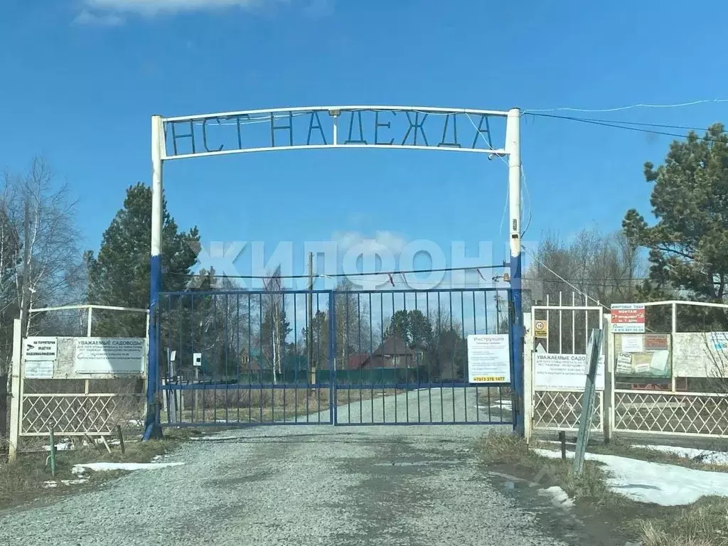 Дом в Новосибирская область, Колыванский район, Надежда СТ  (10 м) - Фото 0