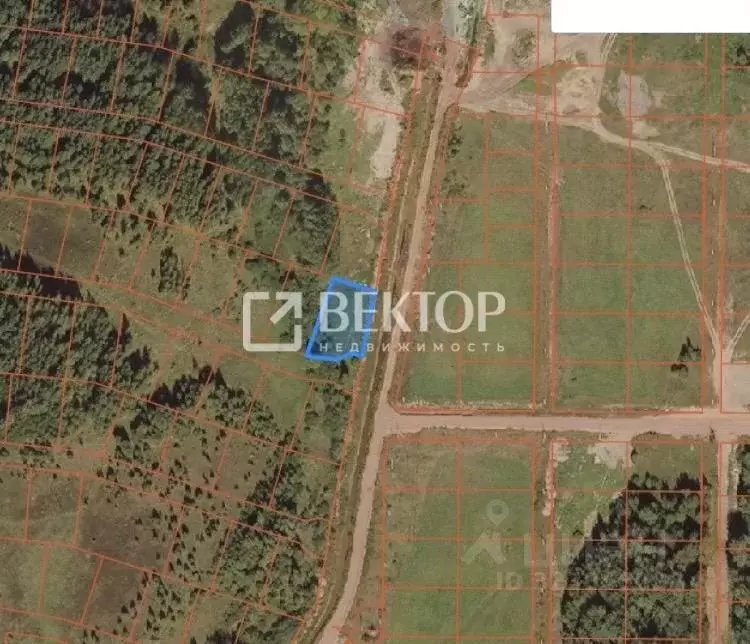 Участок в Ярославская область, Ярославский муниципальный округ, д. ... - Фото 2