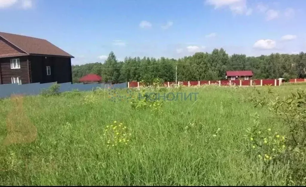 Участок в Нижегородская область, Богородский муниципальный округ, д. ... - Фото 1