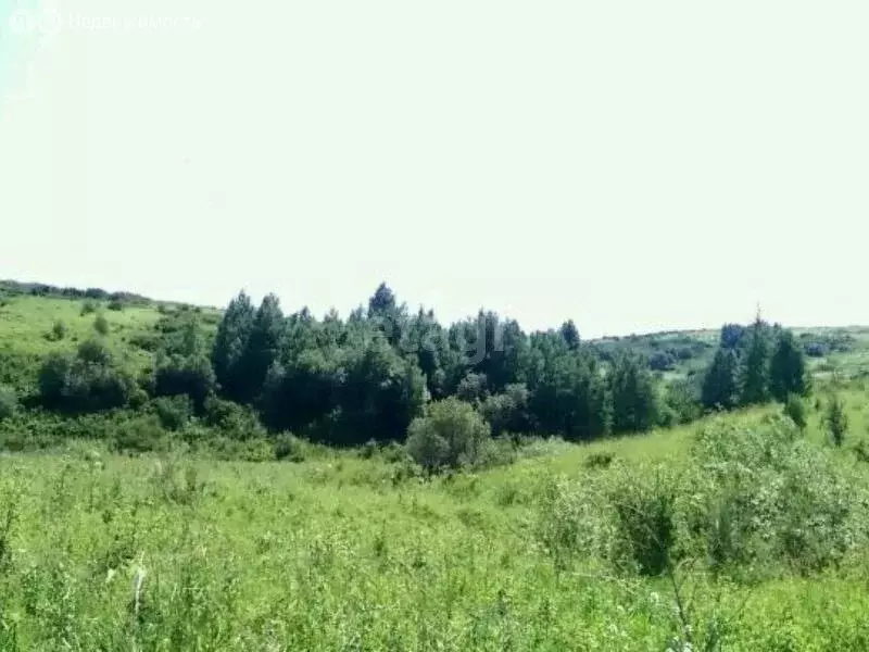 Участок в Сурский район, Лавинское сельское поселение, село Лава (128 ... - Фото 1