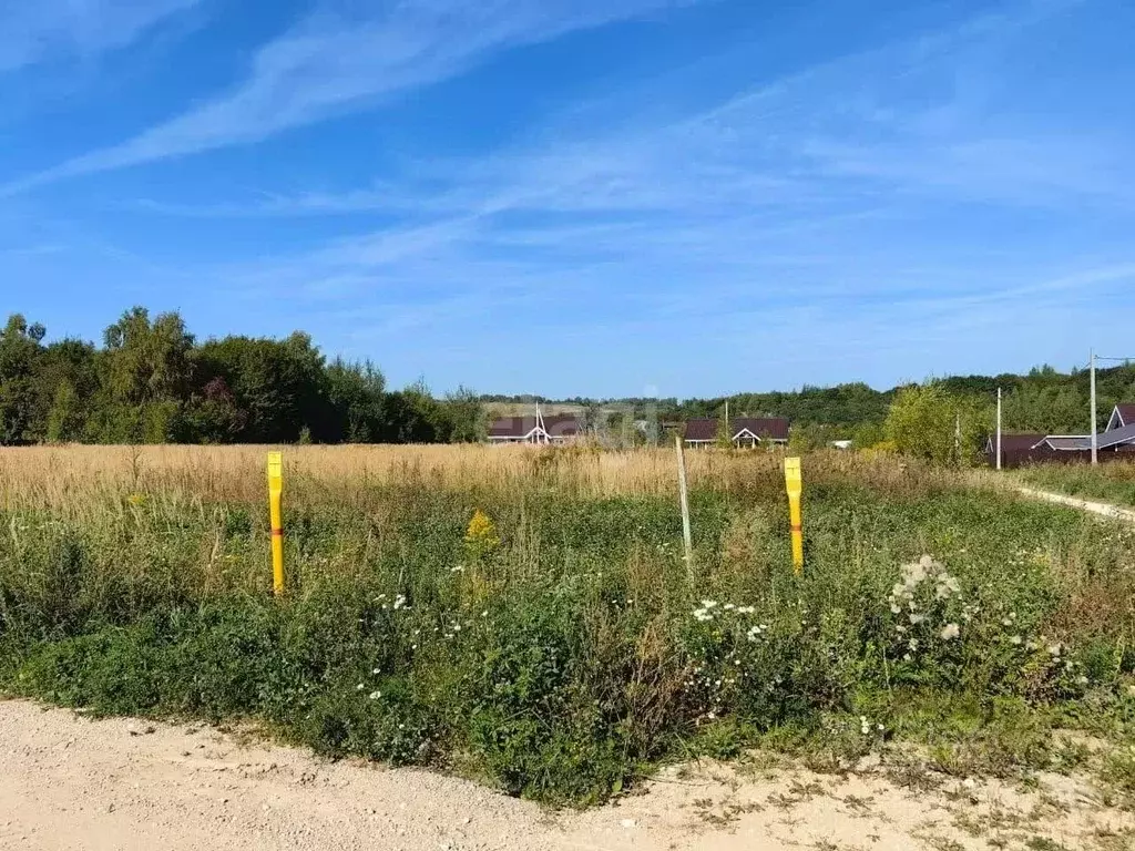 Участок в Нижегородская область, Богородский муниципальный округ, д. ... - Фото 1