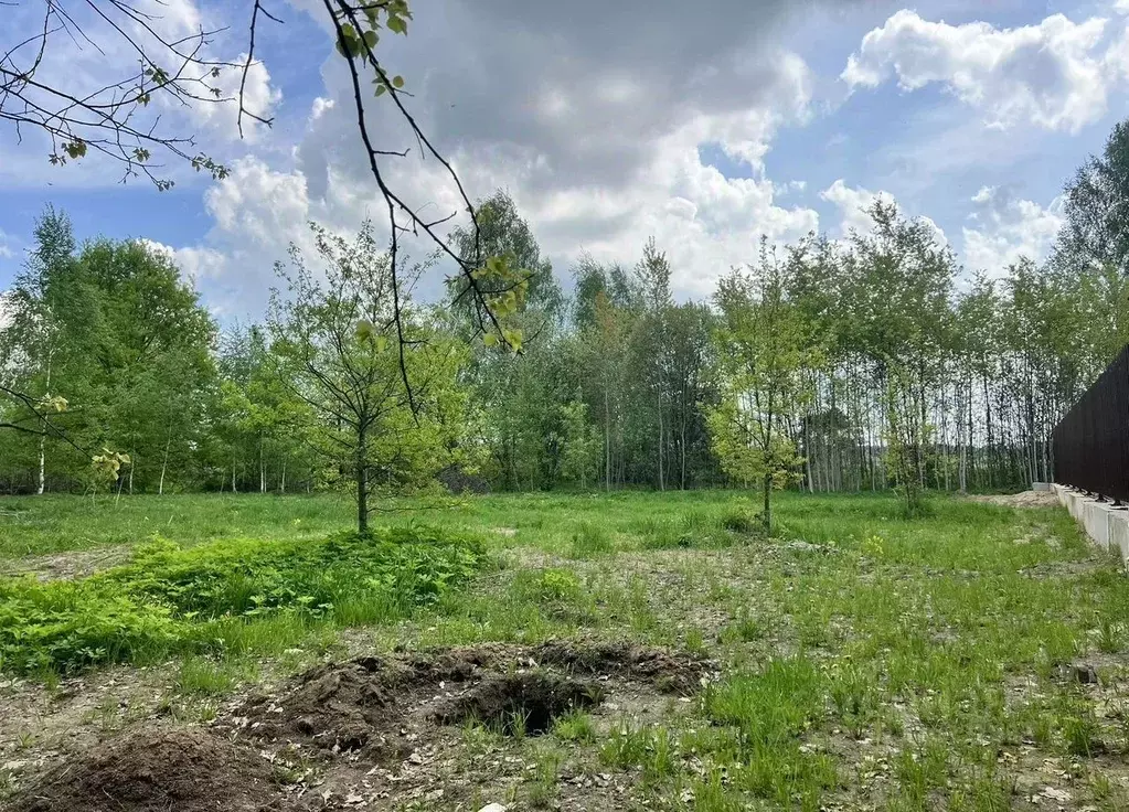 Участок в Московская область, Богородский городской округ, д. ... - Фото 2