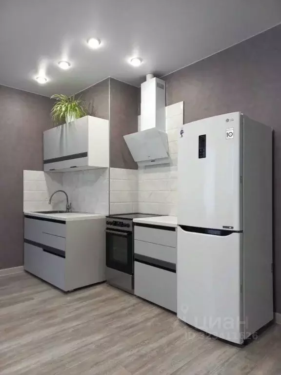 Студия Краснодарский край, Анапа Анапское ш., 24к1 (30.0 м) - Фото 2