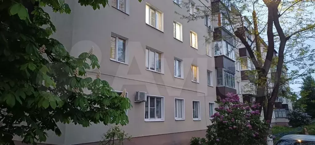1-к. квартира, 31 м, 1/5 эт. - Фото 0