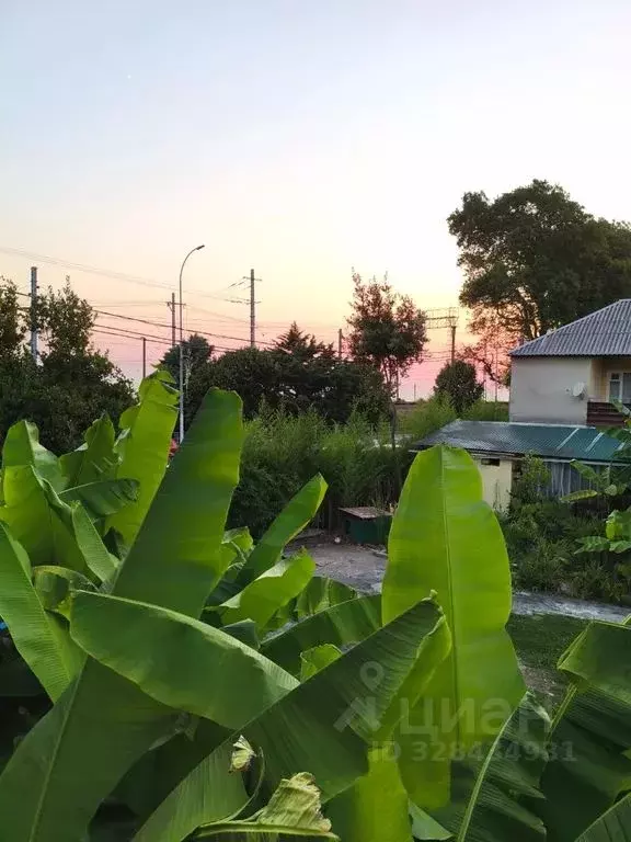 Дом в Краснодарский край, Сочи ул. Лазарева, 144 (80 м) - Фото 1