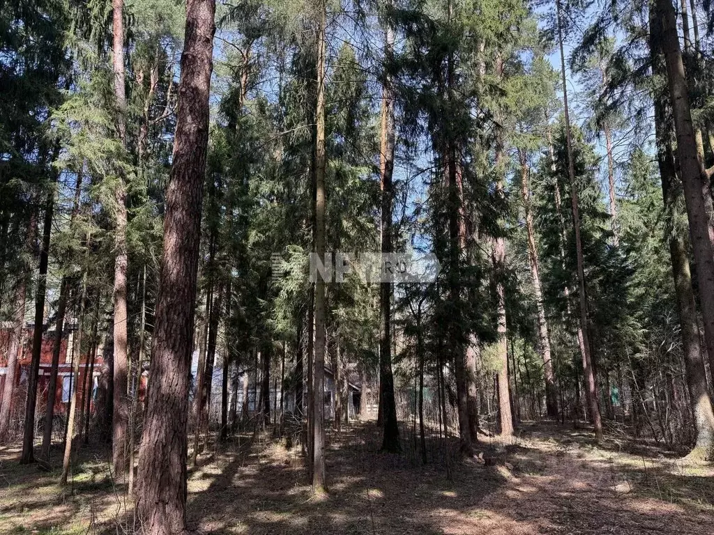 Участок в Московская область, Одинцовский городской округ, пос. Дома ... - Фото 2