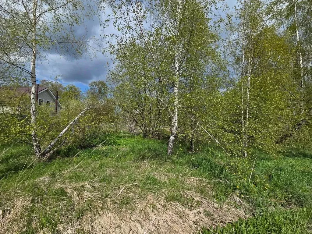 Участок в Московская область, Сергиево-Посадский городской округ, д. ... - Фото 0