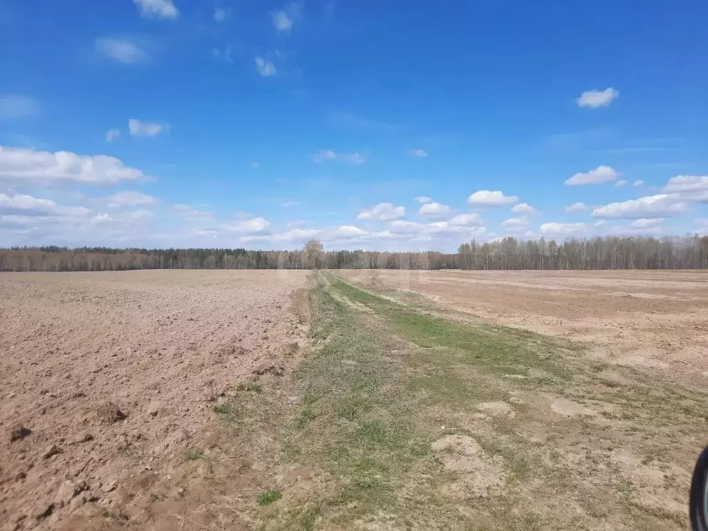 Участок в Нижегородская область, Городецкий муниципальный округ, д. ... - Фото 2