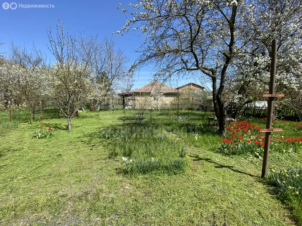 Участок в Таганрог, СНТ Строитель, 1-я аллея (6 м) - Фото 2