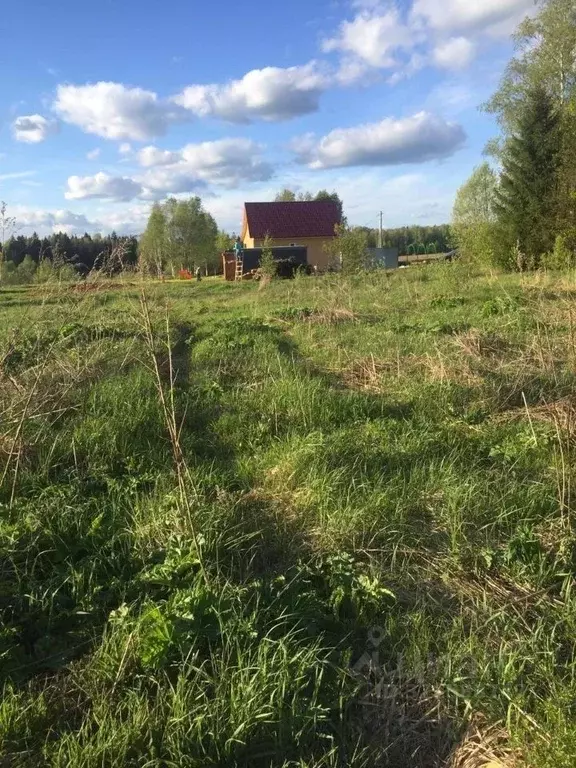 Участок в Калужская область, Жуковский район, Истье с/пос  (10.0 сот.) - Фото 2