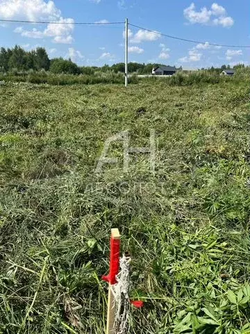 Участок 6 сот. (СНТ, ДНП) - Фото 0