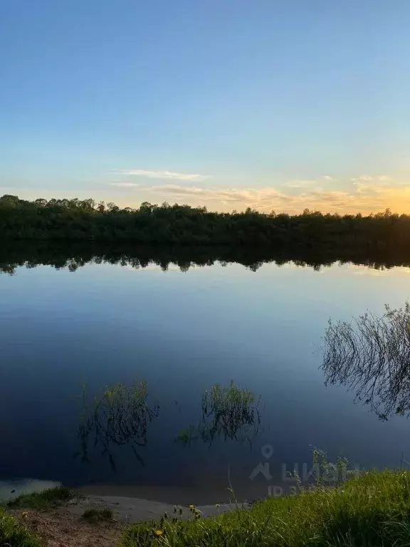 Участок в Новгородская область, Новгородский район, Бронницкое с/пос, ... - Фото 1