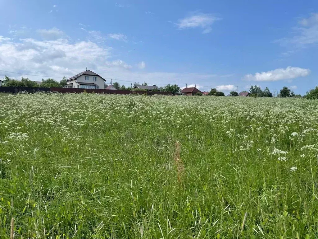 Участок в Московская область, Воскресенск городской округ, д. Цибино ... - Фото 0