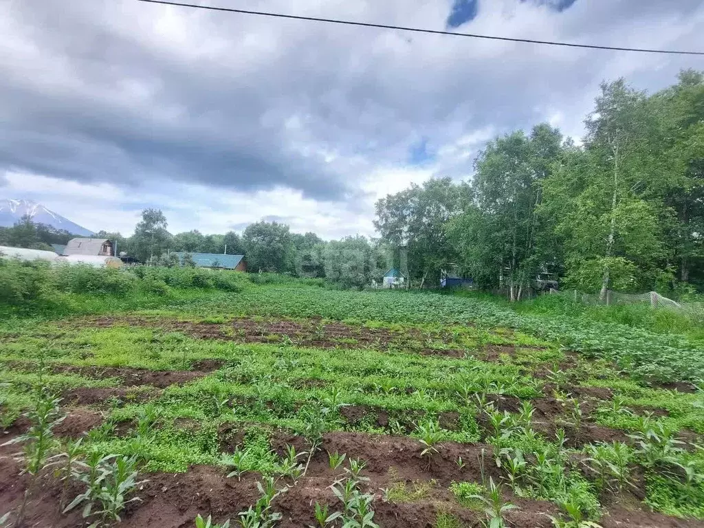 Участок в Камчатский край, Елизовский муниципальный округ, Меркурий ... - Фото 1
