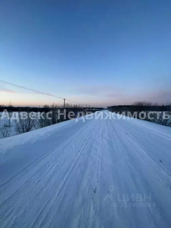 Участок в Тюменская область, Тюменский район, с. Кулига ул. ... - Фото 1