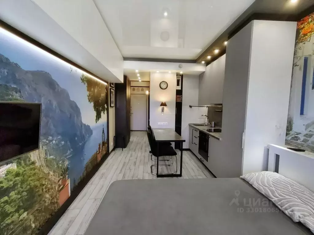 Студия Москва Муравская ул., 42к3 (30.0 м) - Фото 1