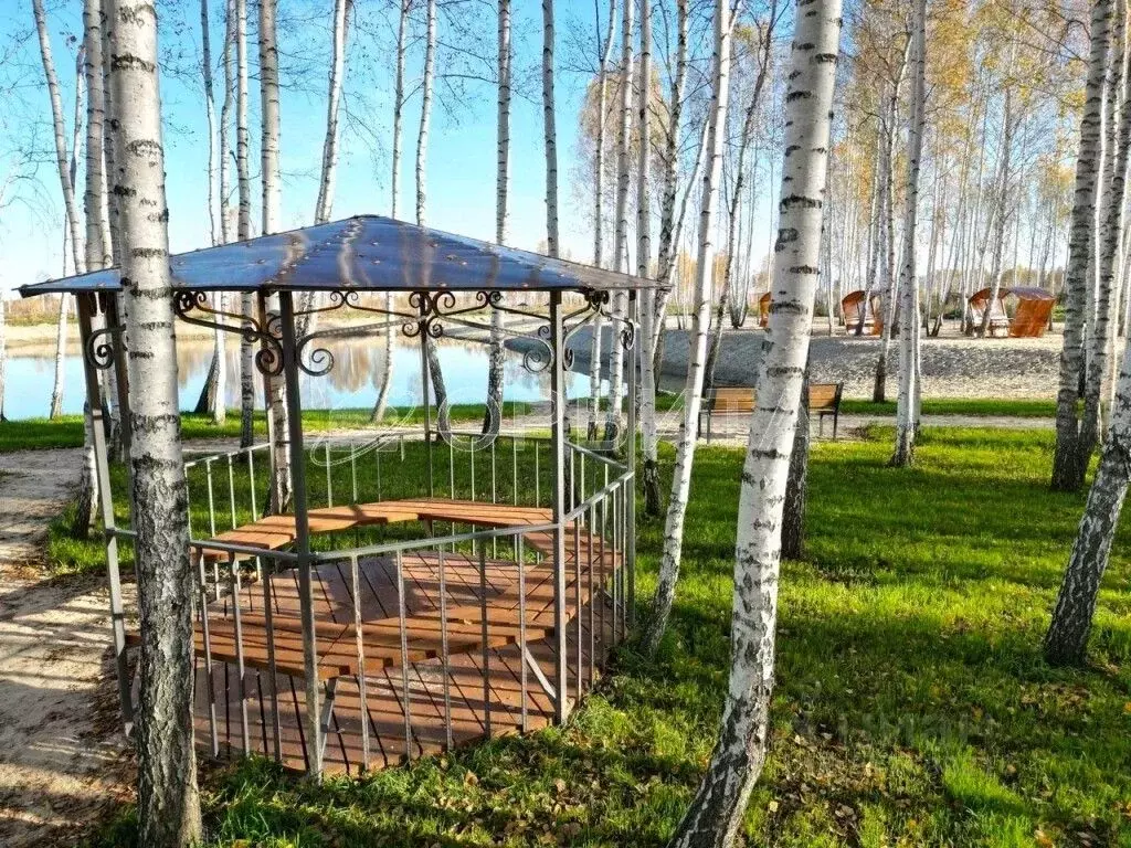 Участок в Тюменская область, Нижнетавдинский муниципальный округ, 7 ... - Фото 2