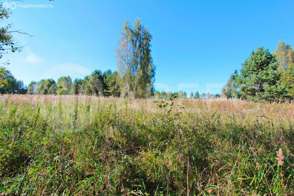 Участок в Владимирская область, округ Муром, деревня Новое Ратово (30 ... - Фото 0