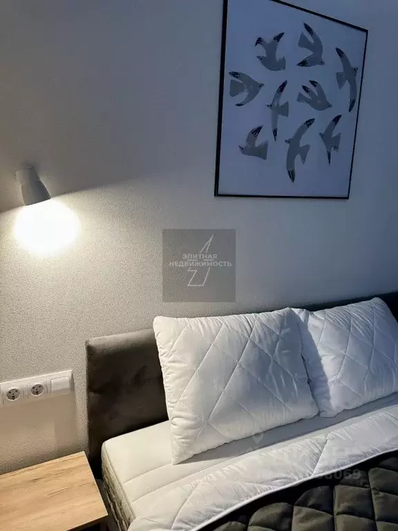 Студия Санкт-Петербург Ремесленная ул., 15 (27.0 м) - Фото 2