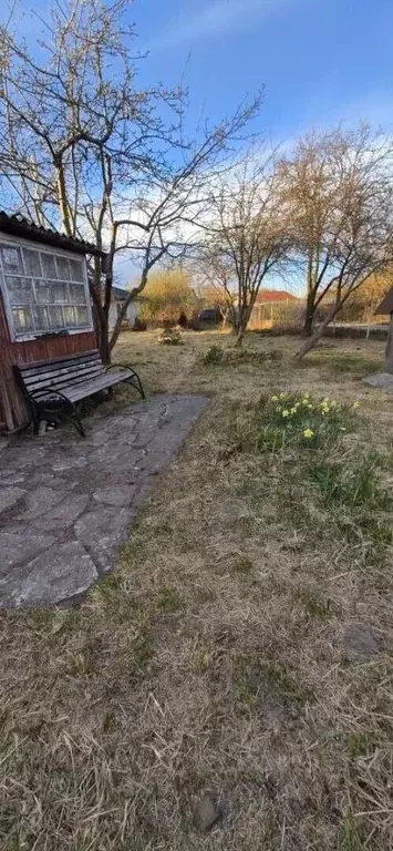 Участок в Калининградская область, Калининград Янтарь СНТ, 7-я линия ... - Фото 2