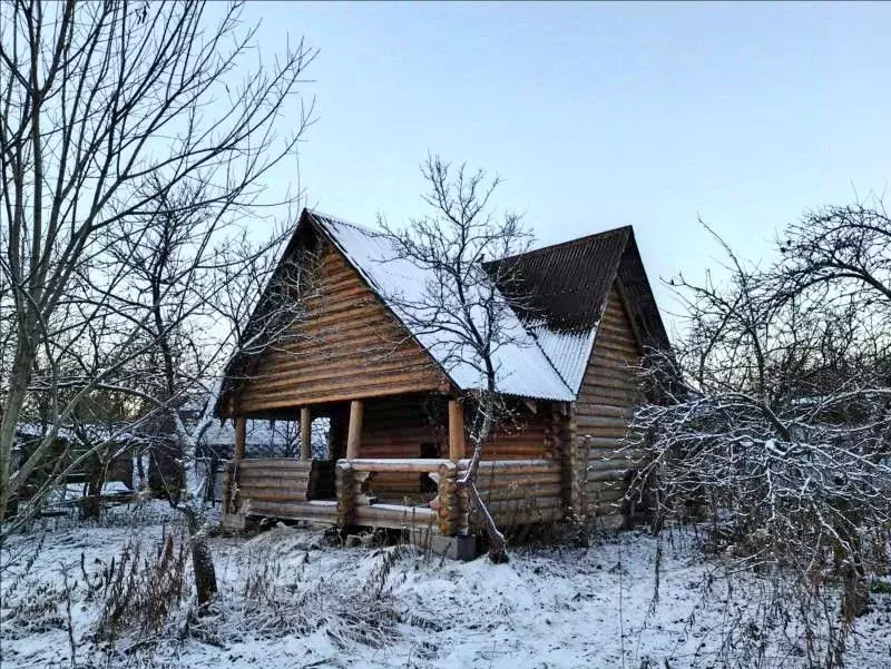 Участок в Санкт-Петербург Дружный-2 СНТ,  (8.0 сот.) - Фото 2