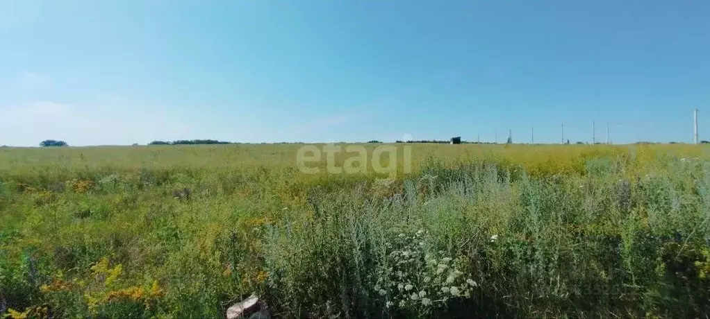 Участок в Воронежская область, Семилукский район, с. Девица ул. ... - Фото 1