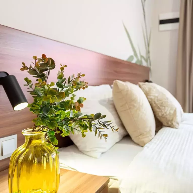 Студия Калужская область, Боровский район, Совьяки с/пос, д. Петрово, ... - Фото 2