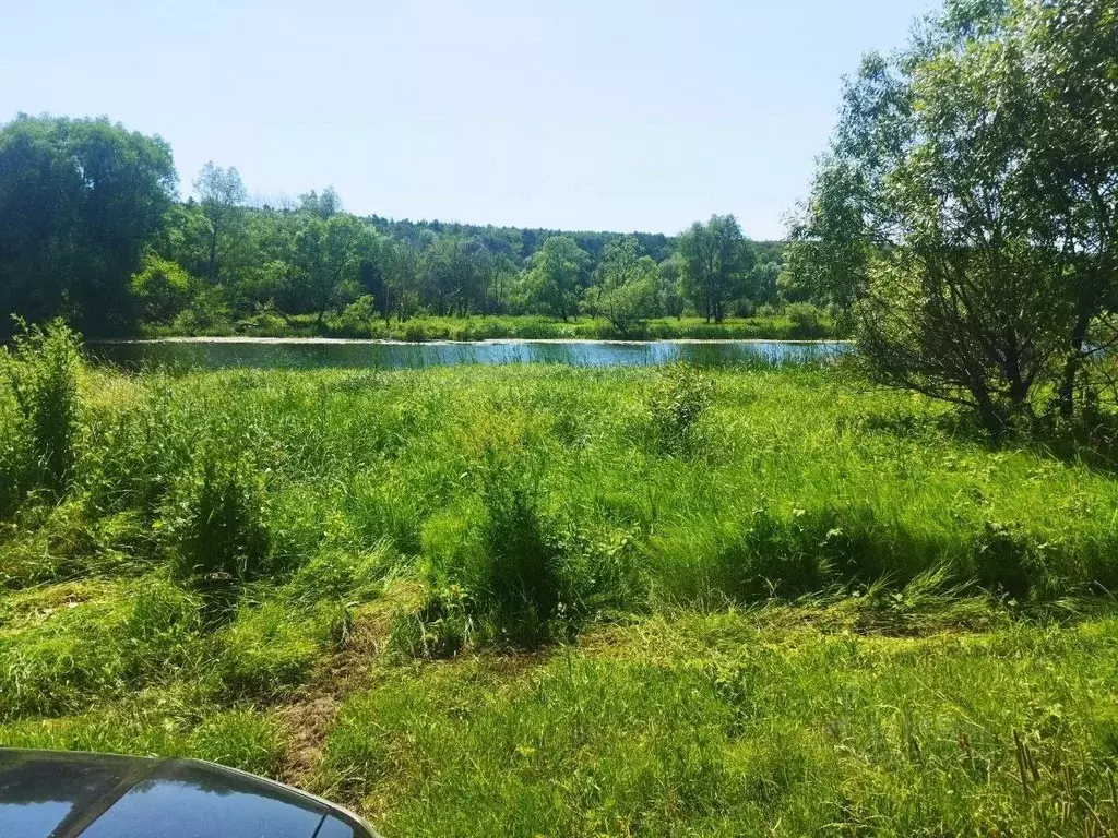 Участок в Тульская область, Ясногорский район, Иваньковское с/пос, ... - Фото 2