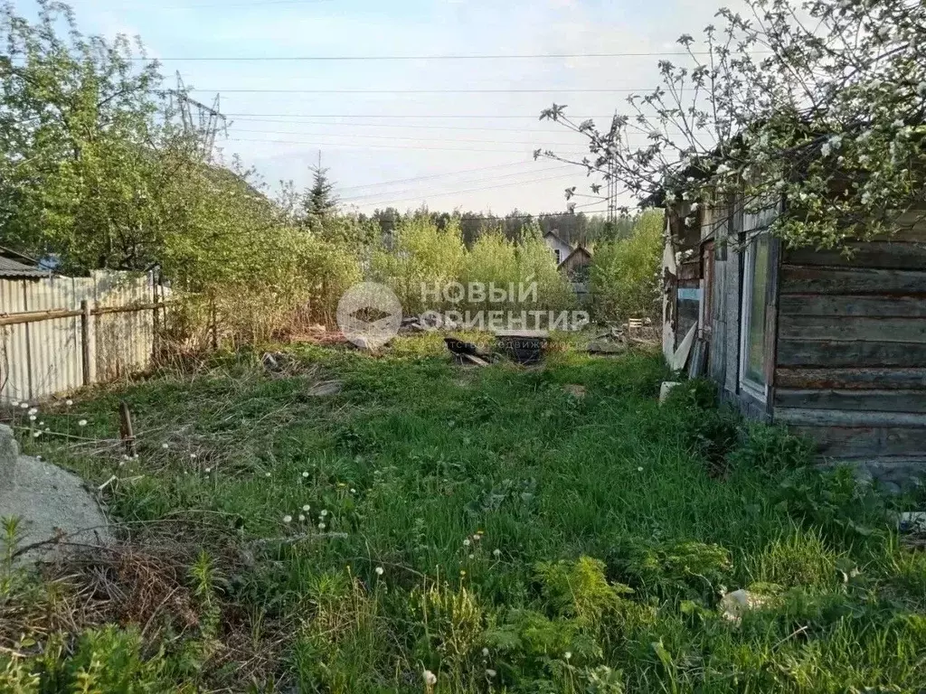 Участок в Свердловская область, Екатеринбург Жилищник-1 СНТ, 157 (4.54 ... - Фото 1