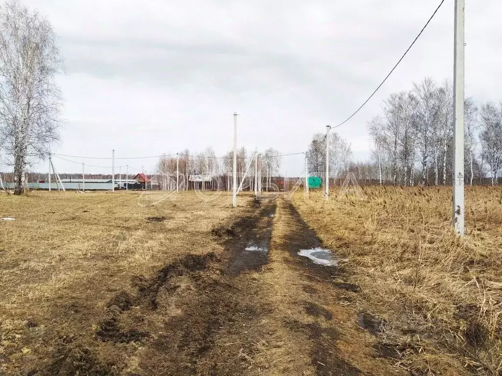 Участок в Тюменская область, Тюмень Дачное товарищество Элита ТСН,  ... - Фото 1